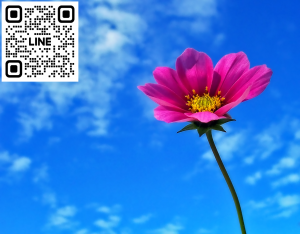 QRコード